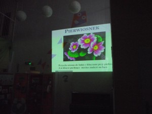 DSCF3775